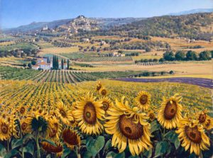 Lionel Aggett Sunflowers in Bonnieux Provence France Landscape